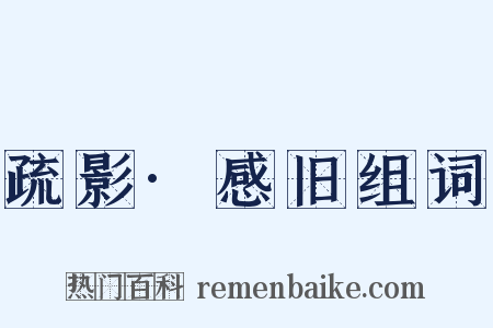 疏影·感旧组词是什么意思的图片